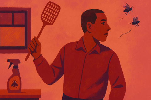 Flying Insect Management in Homes